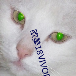 欧美18VIVODE