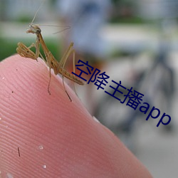 空降主播app