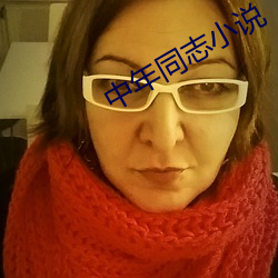 中年同志小說
