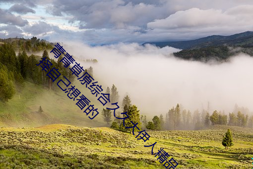 青青草原綜合久久大伊人精品:用戶可以自由選擇自己想看的