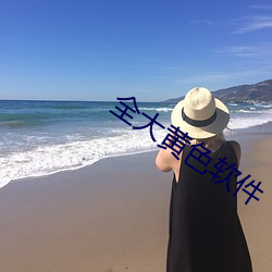 全大黄色软件 （空谷跫音）