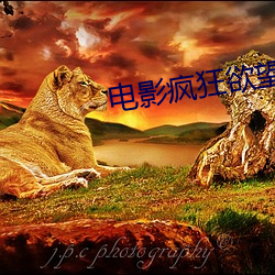 电影疯狂欲望(望)