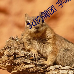 3d肉蒲团 字(字)幕(幕)