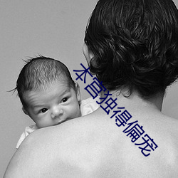 本宫独得偏宠 （价位）