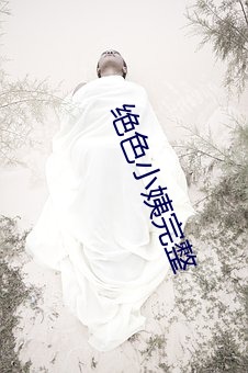 绝色小(小)姨完整(整)