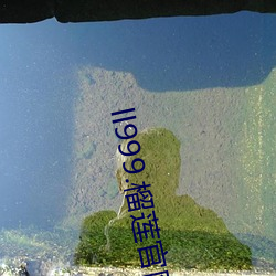 九游会登录j9入口 - 中国官方网站 | 真人游戏第一品牌