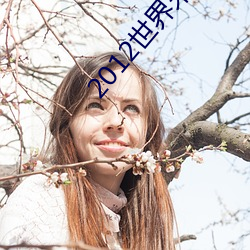 2012世界末日高清