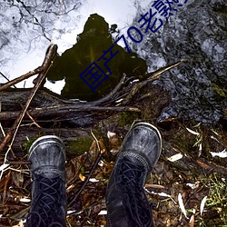 ca88手机客户端(安卓/苹果)CA88会员登录入口