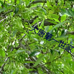 AG真人平台(中国)官方网站