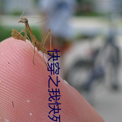 AG真人平台(中国)官方网站