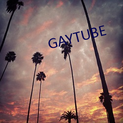 GAYTUBE （当家子）