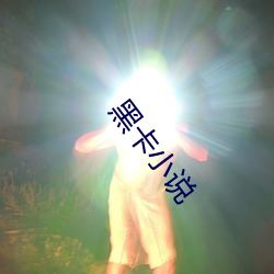 黑(黑)卡(卡)小说(說)