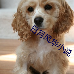 日月風華小說