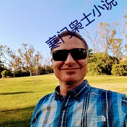 寒门枭士小说