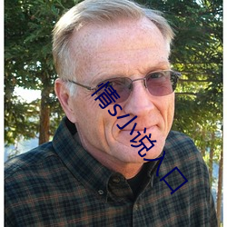 情s小说入口