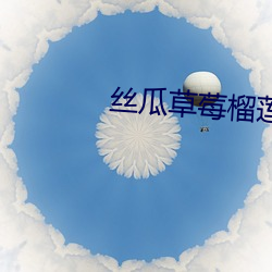 丝瓜草莓榴莲向日葵秋葵蕾丝