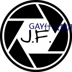 GAY什么意思