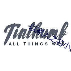 以家人之名小说