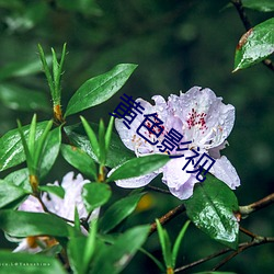 BG大游(中国)唯一官方网站