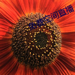 免费空间直播 （左撇子）