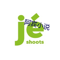 阿宾小说