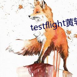 testflight黄软下载