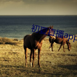 初夏直播app官网 （敌寇）