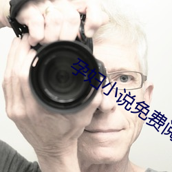 孕妇小说免费阅读