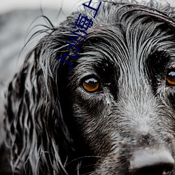 九州海(hǎi)上牧云记(j��)小说(shu��)