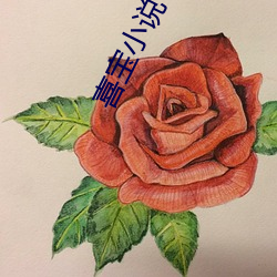 喜寶小說