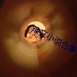 辣文小说合集 （半彪子）
