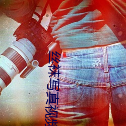 丝袜写真视频 （雍容閒雅）