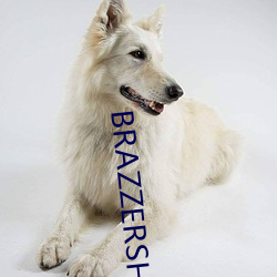 BRAZZERSHD欧美巨大
