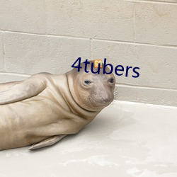 4tubers 羰