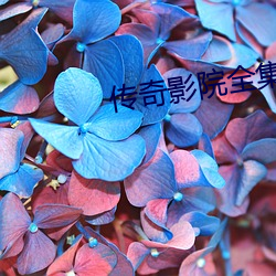 米乐M6·(中国)官方网站