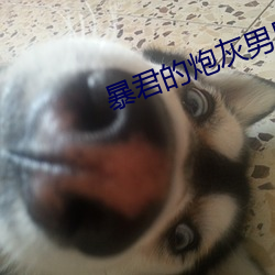 暴君的炮灰男后