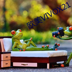 ŷVIVOX21 ԣ