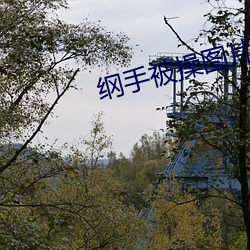 纲手被操图片