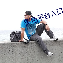 黄色平台入口