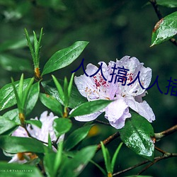人(人)人搞(搞)人人(人)插