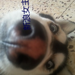 新浪女主播