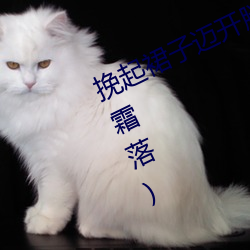 尊龙凯时·(中国)官方网站