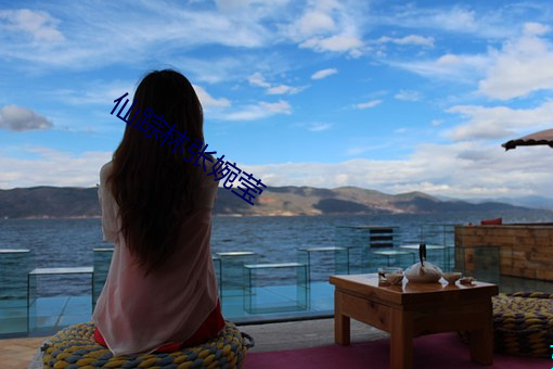 仙踪林张(張)婉(婉)莹
