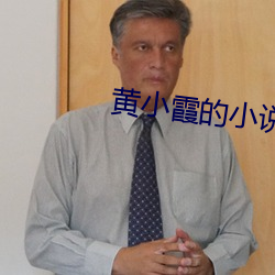 黄(黃)小(小)霞的小说