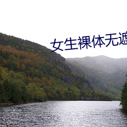 女生裸体无遮挡 （鹑衣