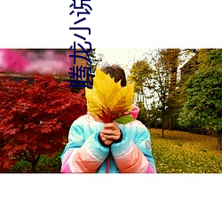 腾龙小说网