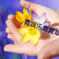 青(青)娱乐青青草