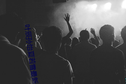 葉辰孫怡夏若雪最新版