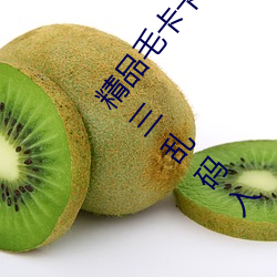 精品毛卡卡1卡2卡3麻豆免费:支持无人区卡一卡二卡三乱码入
