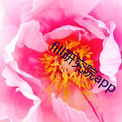 fill研究院app